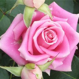 �, �����