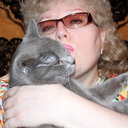 �����, �����-���������, 61 ���