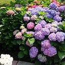 ���� �������, ������, 51 ��� - ��������� 11 ������� 2016 � ������ ����� 2016�