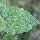 ���� �������, ��������, 47 ��� - ��������� 2 ������� 2016 � ������ ���� ����������