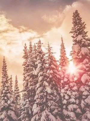   ,    - 4