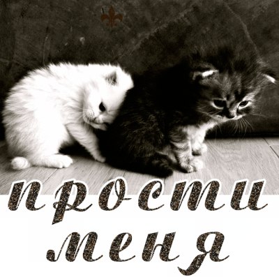 Сергей Филоненко.Мы только говорим "Прости"…Мы только говорим "Прости",Когда ...