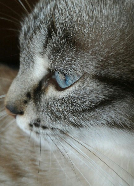 #�������_�����.���� ������ ,���� ������� �������� �� ����� ��� ����� ���� �� ������ ,�������� ��� � ...