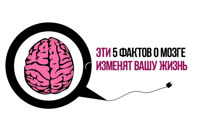 Человеческий мозг интересные факты. 5 Интересных фактов про мозг.. Мозг не видит разницы между реальностью и воображением. Эти пять фактов о мозге изменят Вашу жизнь. Интересные факты которые ВЗОРВУТ мозг.