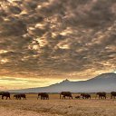 ���� ���������, �����-��������� - ��������� 19 ������ 2016 � ������ ���� ����������