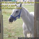 ���� ���������, �����-���������, 63 ���� - ��������� 24 ������� 2016 � ������ ������ ��������