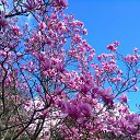 ���� Lana, ������, 54 ���� - ��������� 1 ������ 2017 � ������ �Timeline Photos�