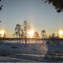   ,  -  2  2016    