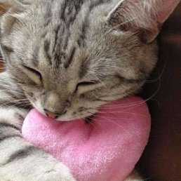 ������, ������-��-����