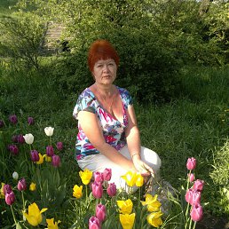 ���� ������, ������������ - ��������� 29 ������� 2016