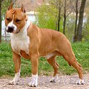 ���� Grisha, ��������, 40 ��� - ��������� 29 ������ 2017 � ������ ���� ����������