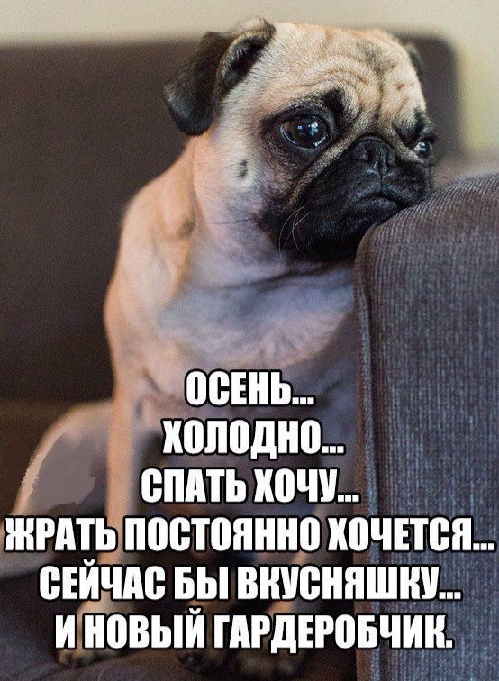  - 18  2016  15:45