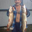 ���� ���, ��������, 59 ��� - ��������� 8 ������� 2016 � ������ ���� ����������