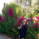 ���� Marina, ����, 52 ���� - ��������� 26 ������� 2016 � ������ �Bodrum 2016�