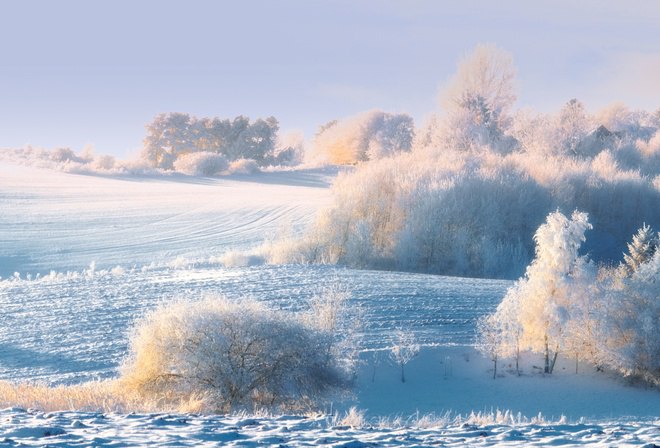  ! - 31  2016  14:29 - 8