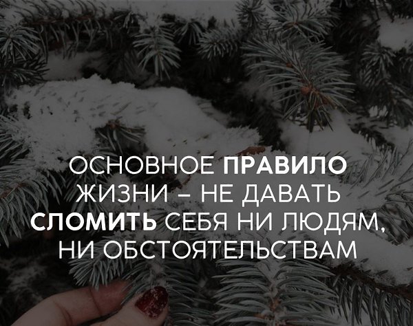 .Life.Is.Life. - 28  2016  10:29