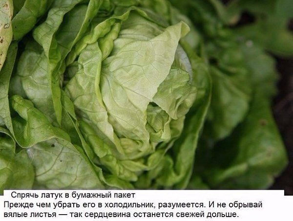 10 хитрых кухонных лайфхаков, о которых не знает даже твоя мама. - 5