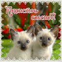 ���� ���������� �, �������, 62 ���� - ��������� 14 �������� 2016 � ������ �������� ��������