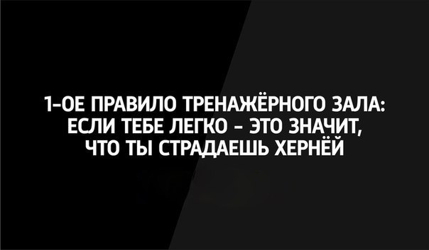 SportFeed - 12  2016  10:17