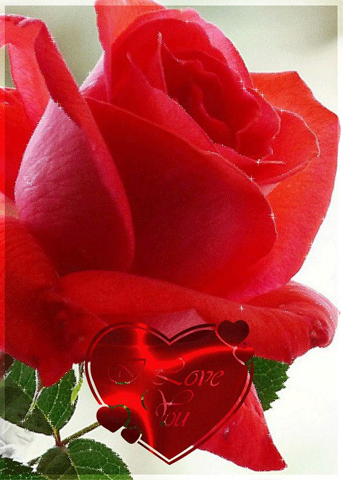 ����� ������������ - 13 ������� 2017 � 22:28