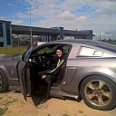 ���� ������, �������, 36 ��� - ��������� 9 ������ 2017 � ������ ���� ����������