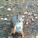 ���� �������, ����� - ��������� 5 ����� 2017 � ������ �������