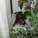  ,  , 60  -  22  2017   