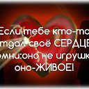 ���� ����, ���� - ��������� 11 ������� 2016 � ������ ������ ��������