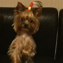 ���� Aculina, �������, 51 ��� - ��������� 24 ������ 2017 � ������ ���� ����������