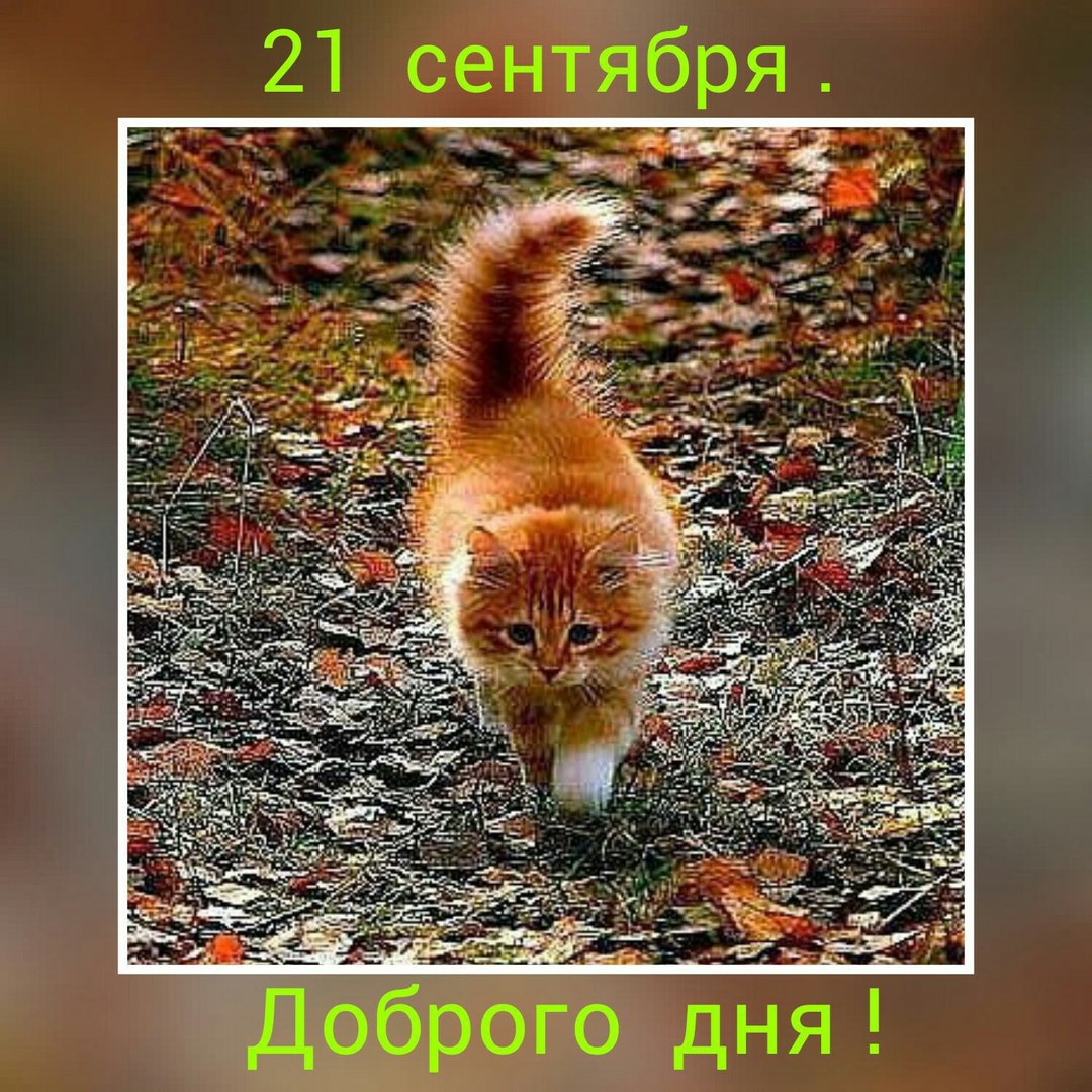  - 21  2016  14:50