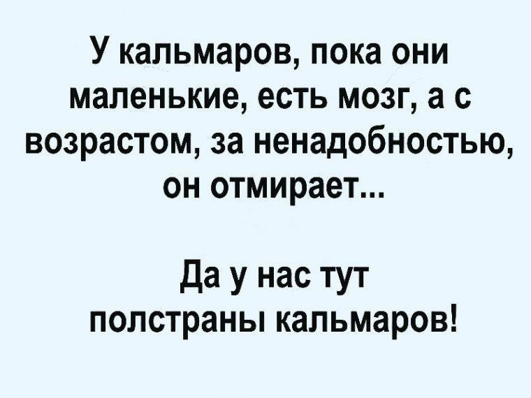 Wow - 21  2017  11:14