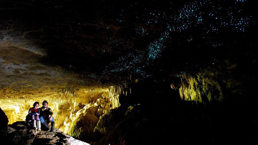 ,   .   (Waitomo Caves)     ... - 4