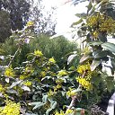 ���� �������, ������� - ��������� 5 ������ 2017 � ������ ������ 2017�