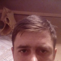 ����, �����-���������, 43 ����