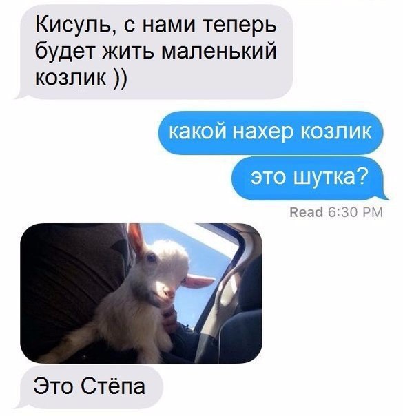   - 21  2017  21:36
