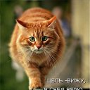 ���� �����, ������������, 55 ��� - ��������� 5 ������� 2016 � ������ ������ ��������