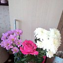  , -, 54  -  3  2016    ۻ