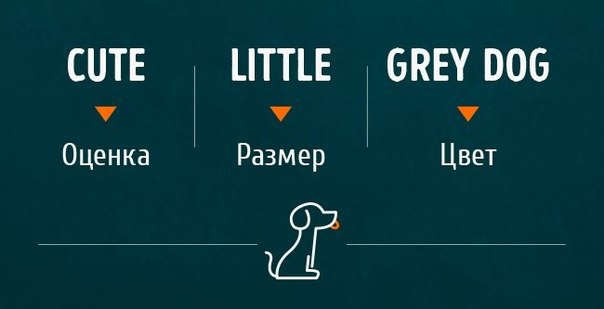         ,   : - 4