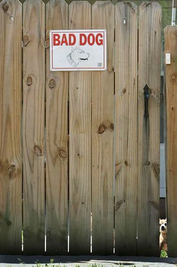    - 4