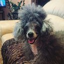 ���� �������, ��������� - ��������� 22 �������� 2016 � ������ ������ ��������