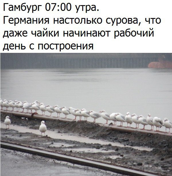  - 18  2016  16:04