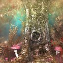  ,  , 23  -  12  2017    