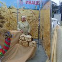  ,  -  17  2016   !  !!!