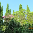 ���� Oleg, ������� ����, 78 ��� - ��������� 14 ������� 2016 � ������ ���� ����������