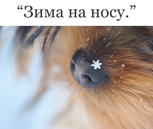    !:-)