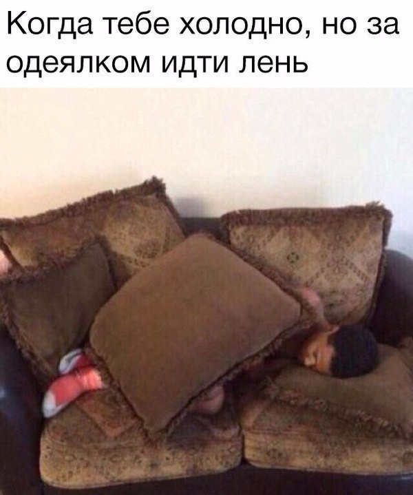   - 13  2016  16:01