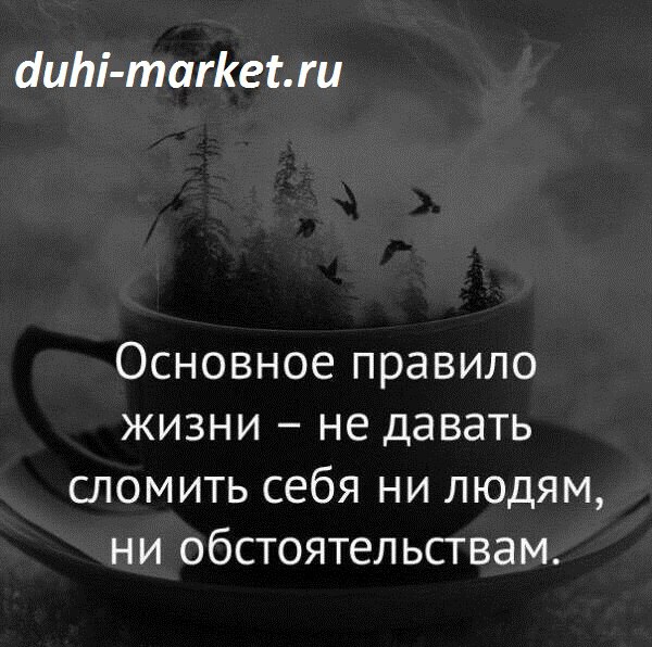   - 15  2017  22:06