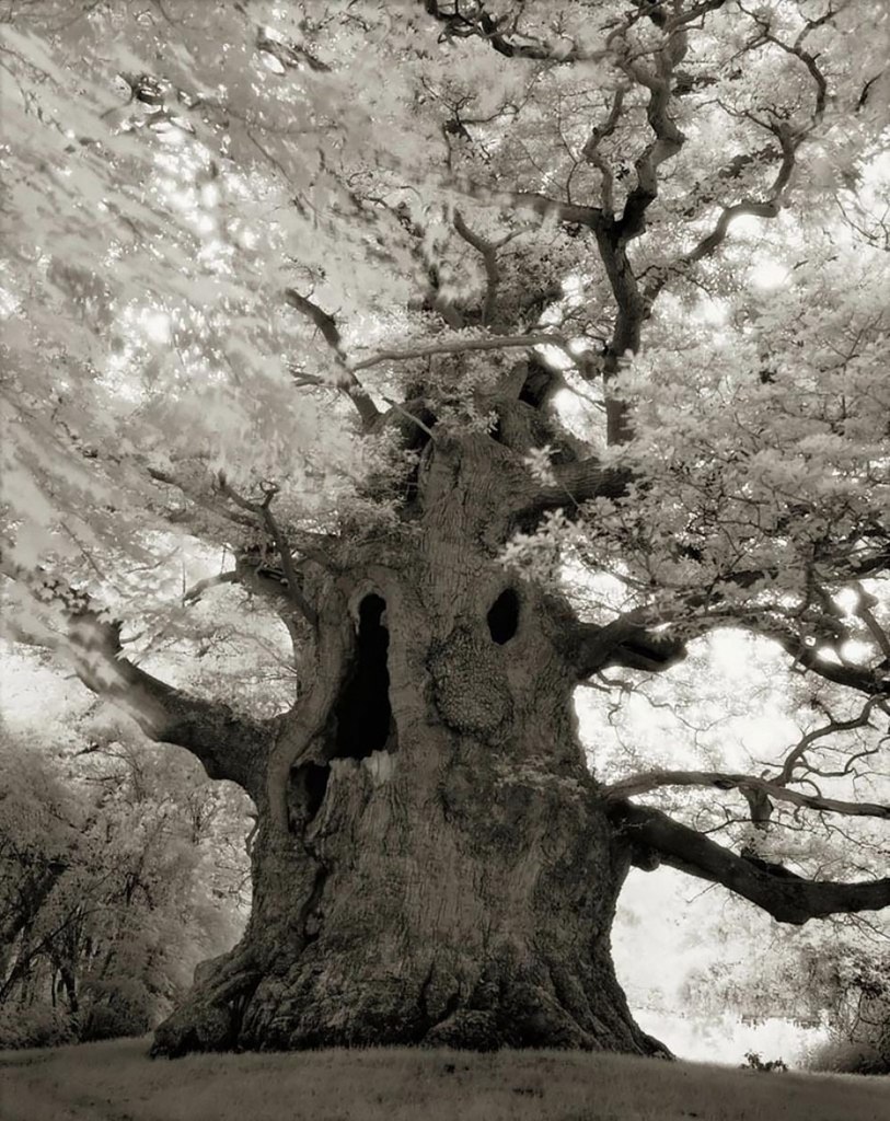   -   (Beth Moon)   ,    ... - 2