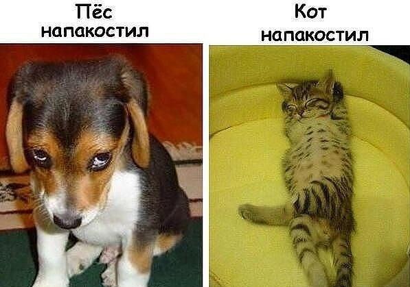  -  ))))