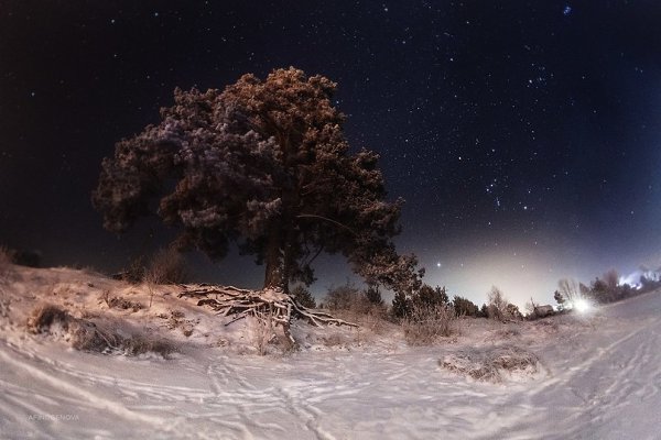 Пеновские ночи. Тверская область, Россия. Фотограф - Tatiana Afinogenova - 5